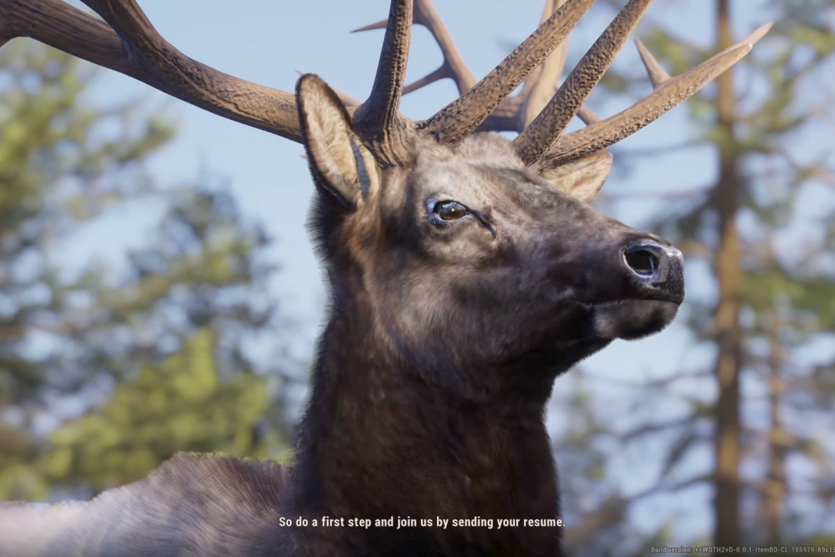 Way of the Hunter 2 Game Review